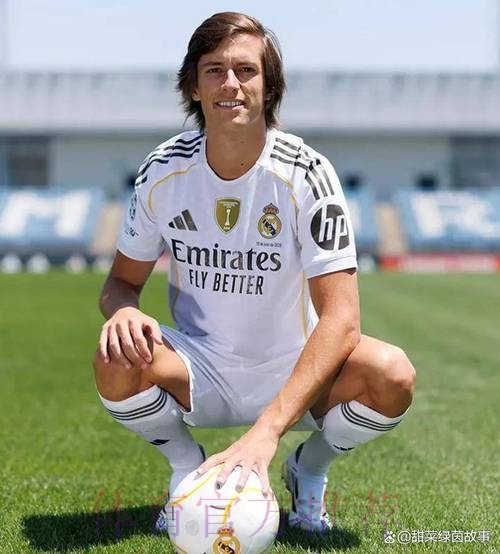 斯基拉-约维奇不在安帅计划内 今夏将离开皇马